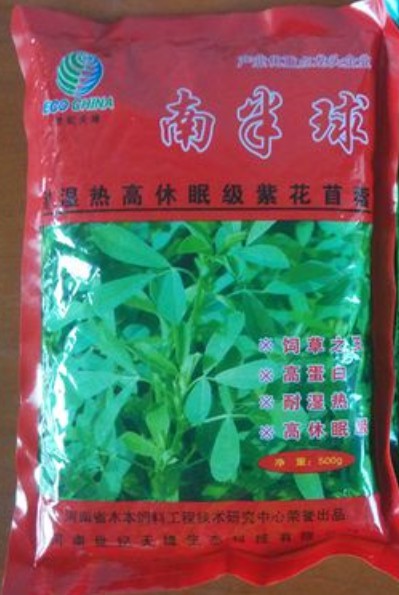 南半球紫花苜蓿,富含粗蛋白、維生素和礦物質及動物必需的氨基酸優質牧草